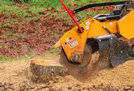 Best Tree and Shrub Care  in Elkton, KY