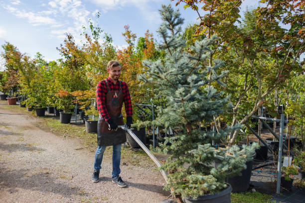 Best Tree Health Inspection  in Elkton, KY